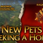Novos pets já estão à venda!