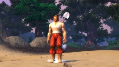 Hozen Beach Ball