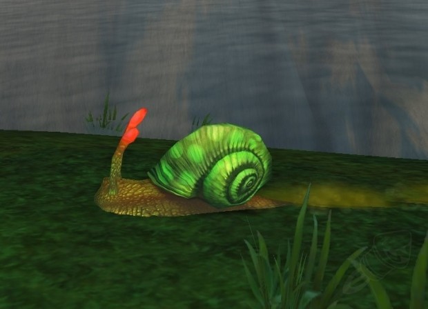 Gastropode