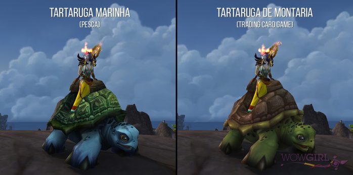 tartarugas1